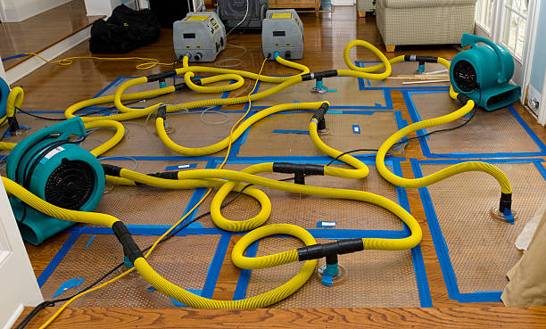 Professional Burst Pipe Water Damage technician working in Errol, NH